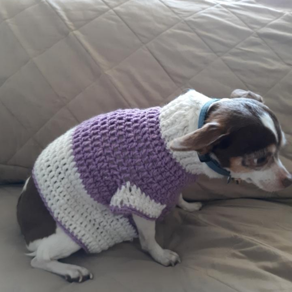 Dog crocheted sweater💖💖💖